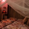 BT Rustic Belle<h6><i class="fa fa-map-marker" aria-hidden="true"></i> Karjat, Maharashtra</h6> - Image 4