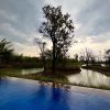 BT Tunga<h6><i class="fa fa-map-marker" aria-hidden="true"></i> Baherakhar, Madhya Pradesh</h6> - Image 13
