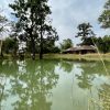 BT Congo<h6><i class="fa fa-map-marker" aria-hidden="true"></i> Baherakhar, Madhya Pradesh</h6> - Image 13